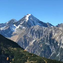 habicht-ch-schwann-oekoalpin_0